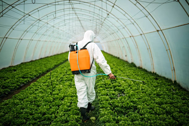 Pest Control Cost in Fiskdale, MA