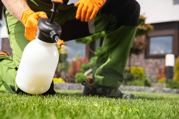 Insect Control in Fiskdale, MA