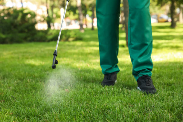 Best Cockroach Control Services  in Fiskdale, MA