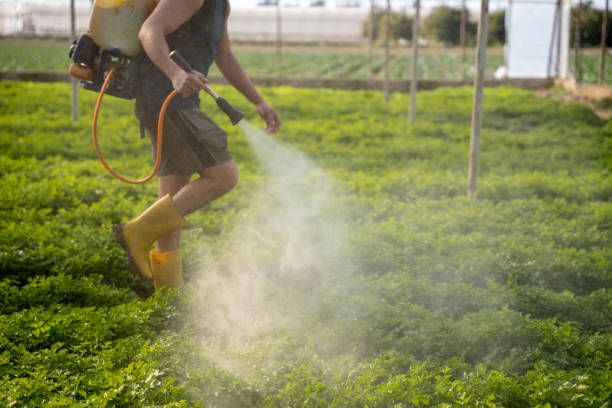 Best Pest Control Treatment  in Fiskdale, MA