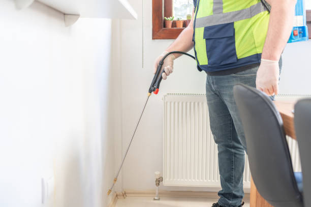 Best Termite Control Services  in Fiskdale, MA