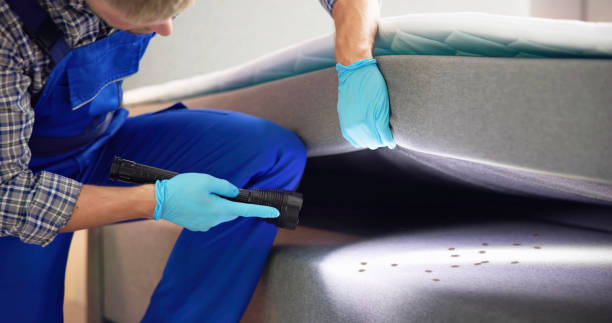 Best Pest Inspection Near Me  in Fiskdale, MA