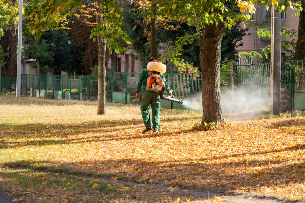 Best Affordable Pest Control Services  in Fiskdale, MA